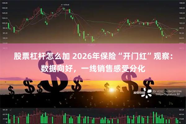 股票杠杆怎么加 2026年保险“开门红”观察：数据向好，一线销售感受分化