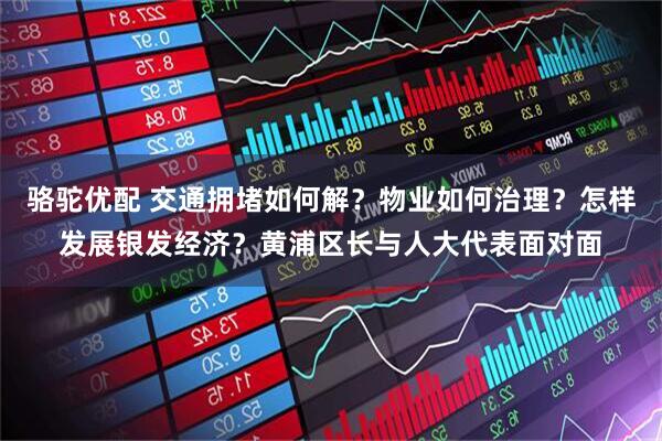 骆驼优配 交通拥堵如何解？物业如何治理？怎样发展银发经济？黄浦区长与人大代表面对面