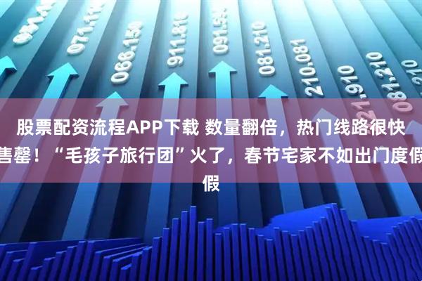 股票配资流程APP下载 数量翻倍，热门线路很快售罄！“毛孩子旅行团”火了，春节宅家不如出门度假